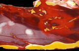 Polished Mookaite Jasper Slab - Australia #125635-1